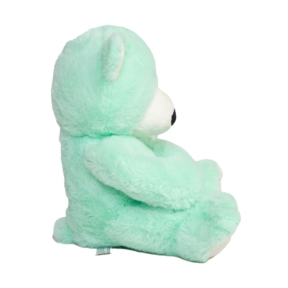 When stress and worry come your way, Just know you are not alone Calm bear will be there with you, By your side in the unknown. His calm green fur is soothing, And he’s very soft to cuddle His ears are also great at listening, For when you are in a muddle. So share your worries with Calm bear, And he’ll take them all away So you can be yourself again, And continue with your day. Light green teddy bear, keeping calm, emotions, mental health, teddy bear, plush, toy