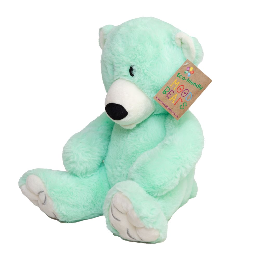 When stress and worry come your way, Just know you are not alone Calm bear will be there with you, By your side in the unknown. His calm green fur is soothing, And he’s very soft to cuddle His ears are also great at listening, For when you are in a muddle. So share your worries with Calm bear, And he’ll take them all away So you can be yourself again, And continue with your day. Light green teddy bear, keeping calm, emotions, mental health, teddy bear, plush, toy